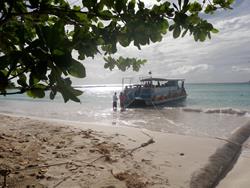 Barbados Dive Centre